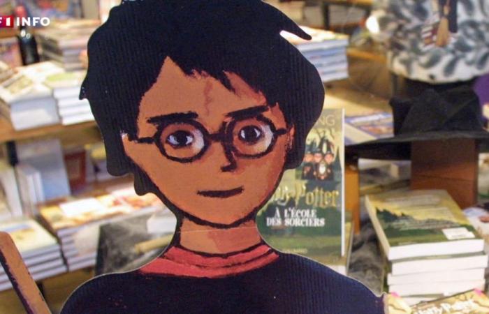 Harry Potter nelle serie TV: tutto quello che sappiamo sul ritorno del piccolo mago