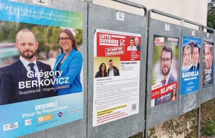 Elezioni legislative 2024. Le priorità dei candidati per la seconda circoscrizione elettorale del Calvados