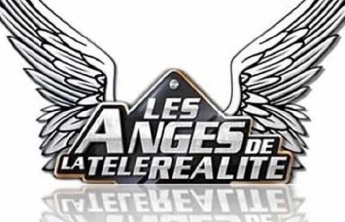 “Les Anges”: tutte le stagioni disponibili su TF1+ ma è prevista una nuova edizione?