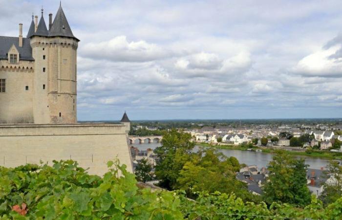 Valle della Loira, Saumur e Samur-Champigny: la nostra selezione di vini dell’estate 2024
