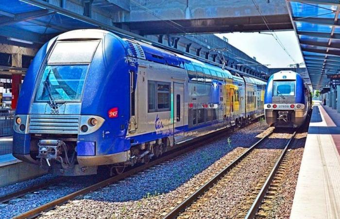 Offerta ferroviaria: il progetto del servizio espresso regionale Lorena-Lussemburgo si concretizza