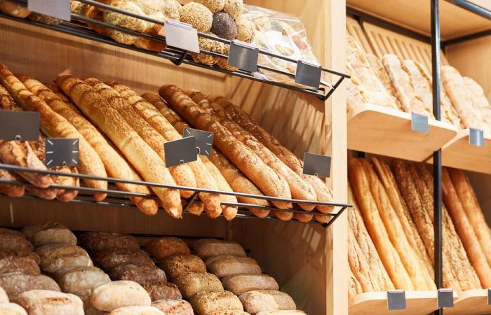 Panetteria – Dove acquistare la tua baguette al miglior prezzo? – Notizia