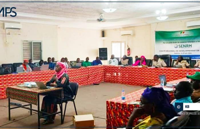 SENEGAL-ENVIRONNEMENT / Sédhiou: verso lo sviluppo di due foreste e la creazione di 15 progetti generatori di reddito – Agenzia di stampa senegalese