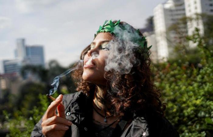 Il Brasile depenalizza il possesso individuale di cannabis