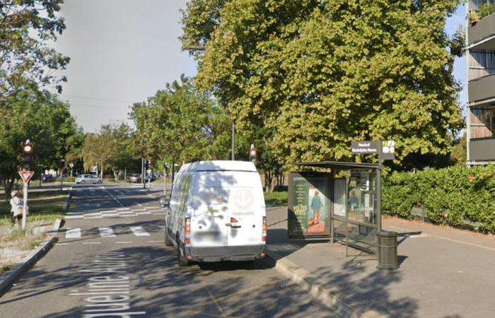 la vittima in stato di shock, la polizia lancia una chiamata a testimoni a Strasburgo