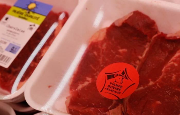 In Francia il consumo di carne pro capite è diminuito del 5,8% dal 2003