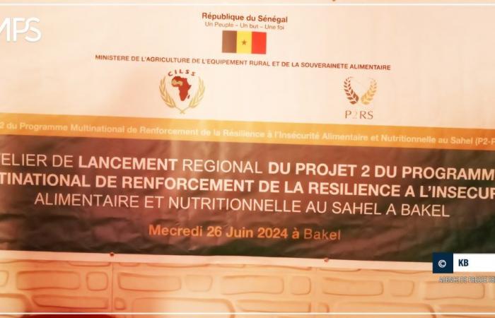 SENEGAL-SVILUPPO / Bakel: più di quattro miliardi di CFA per aumentare la produzione agricola e rafforzare la resilienza delle famiglie – Agenzia di stampa senegalese