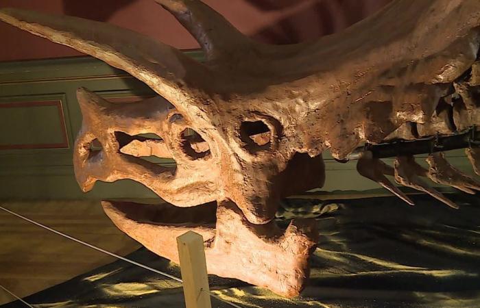 La storia dei dinosauri del sud della Francia ripercorsa a Nîmes
