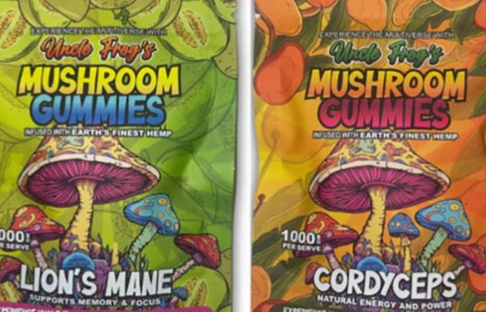 “Sperimenta il multiverso”: l’Australia ricorda le caramelle ai funghi che provocano allucinazioni inquietanti