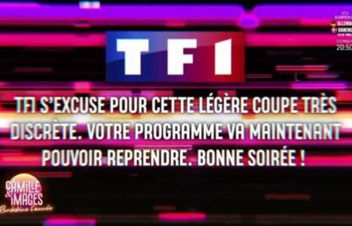 “Peccato, TF1, non TF1, te lo dico io”: Camille Combal parla dello scontro tra Inès Reg e Natasha St-Pier in Ballando con le stelle