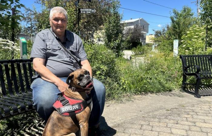 Un residente di Sherbrooke denuncia di essersi visto rifiutare l’ingresso in quattro attività commerciali con il suo cane da assistenza