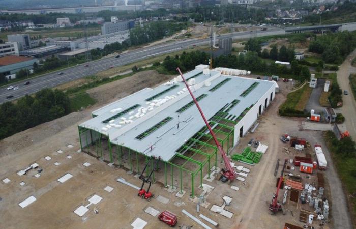 Lussemburgo. Questa azienda sta costruendo uno stabilimento vicino alla Lorena: 100 posti di lavoro previsti