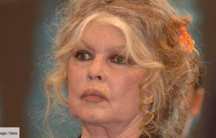 Brigitte Bardot senza filtri sulla sua solitudine: «Ho passato anni bui e duri»