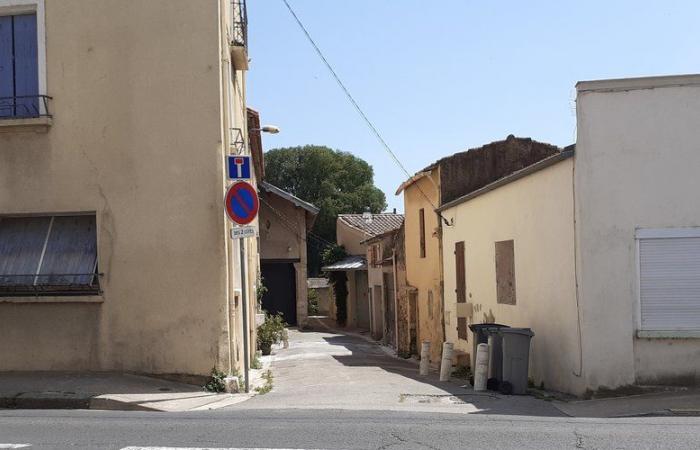 Saint-André-de-Sangonis: le pulci rendono la vita difficile agli abitanti dell’Impasse Ravanières
