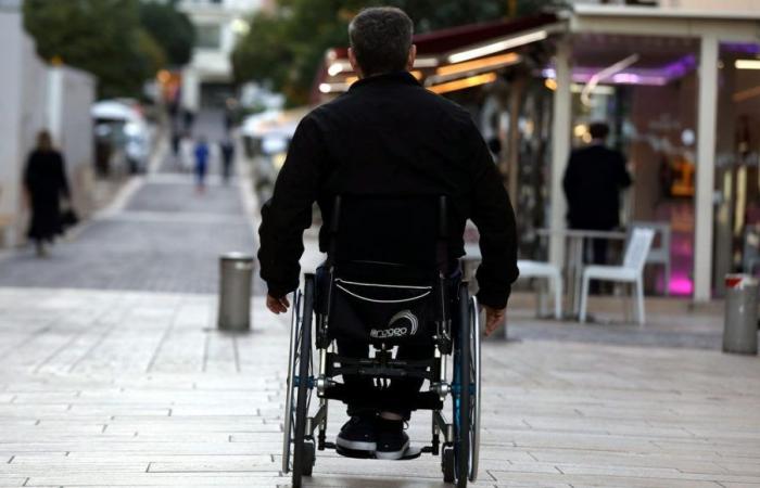 Elezioni legislative 2024: “Siamo un po’ dimenticati”, sussurra l’Associazione dei paralizzati dei Vosgi