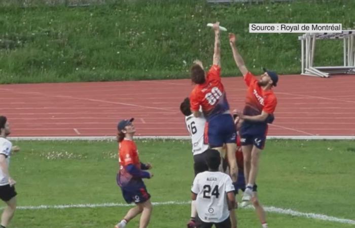 Ultimate Frisbee: la squadra professionistica di Montreal giocherà a Gatineau