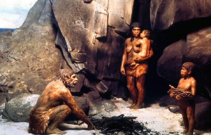 Scoperta una bambina di Neanderthal affetta da sindrome di Down