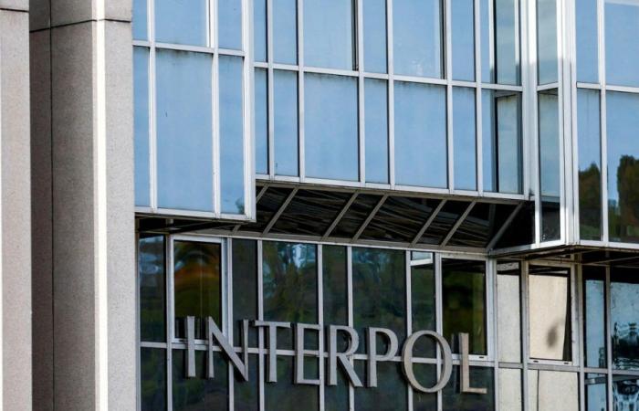 Frode online: 4.000 arresti e 257 milioni di dollari sequestrati in 61 paesi, annuncia l’Interpol
