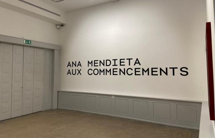 Ana Mendieta lascia il segno a La Chaux-de-Fonds