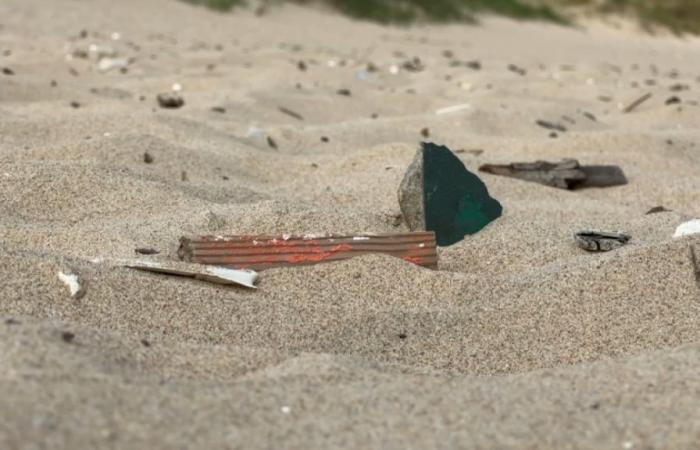 La spiaggia di Blériot ripulita dai rifiuti per l’estate