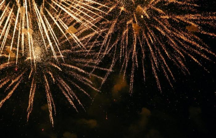 Festa Nazionale 2024: fuochi d’artificio, animazione e ballo popolare a Perreux-sur-Marne (94)