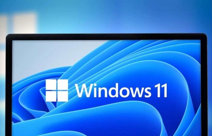 Windows 11 Pro è proposto a 18€ su VIP-URcdkey, rispetto ai 259€ del prezzo ufficiale!
