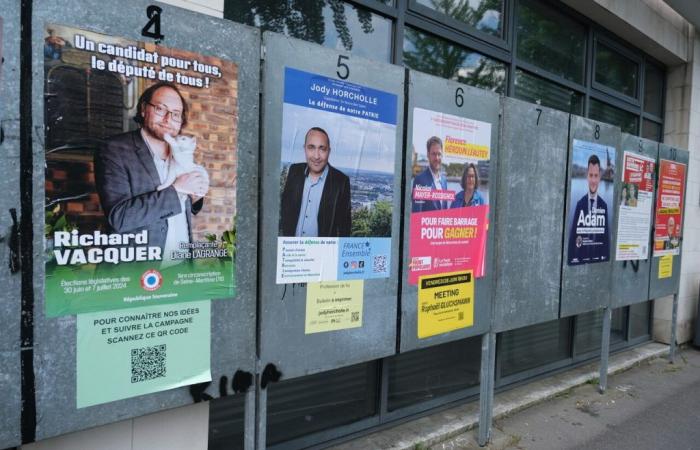 Vintage o sorprendente: un esperto analizza i manifesti dei candidati di Rouen alla legislativa