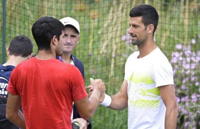 Sorteggio di Wimbledon: Carlos Alcaraz e Novak Djokovic non si incontreranno prima di una possibile finale
