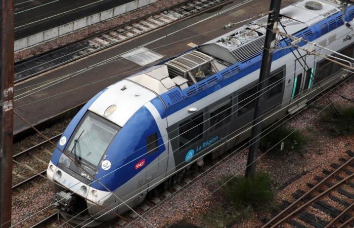 sessanta treni aggiuntivi nel 2025 con la RER metropolitana