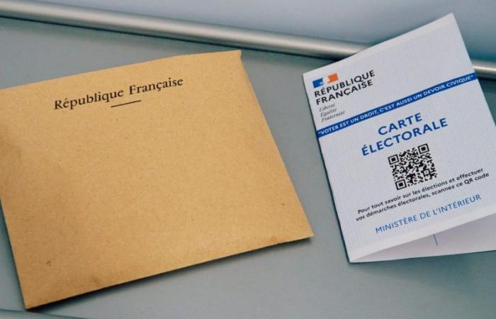 Vicino a Nizza, un manager offre 50 euro per incoraggiare i suoi dipendenti a votare