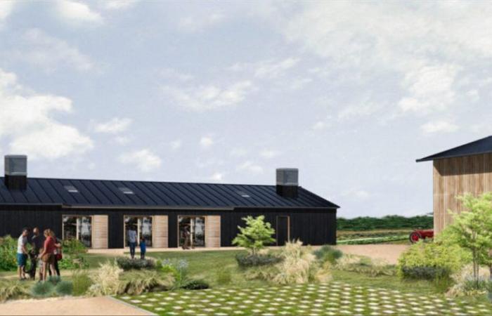 Pannelli solari, orti… nell’Essonne, questa città riceve un bel assegno per finanziare i suoi progetti