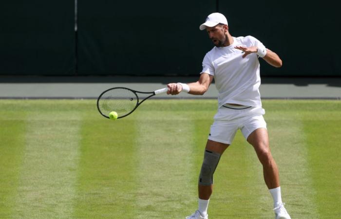 Novak Djokovic sarà presente sul prato londinese?