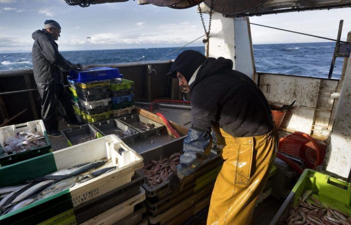 Pescatori in cerca di sostegno politico per salvare il settore