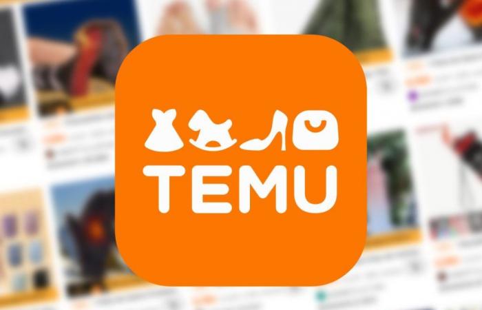 Nuova denuncia contro l’applicazione Temu, accusata di essere malware