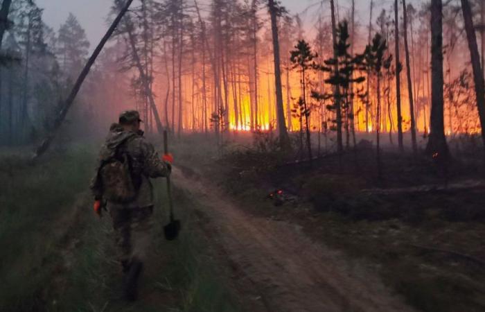 Gli incendi delle foreste artiche che devastano l’estremo nord della Russia rilasciano megatoni di carbonio