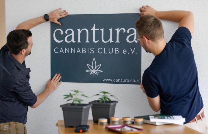 Da lunedì la Germania apre i suoi “cannabis club”.