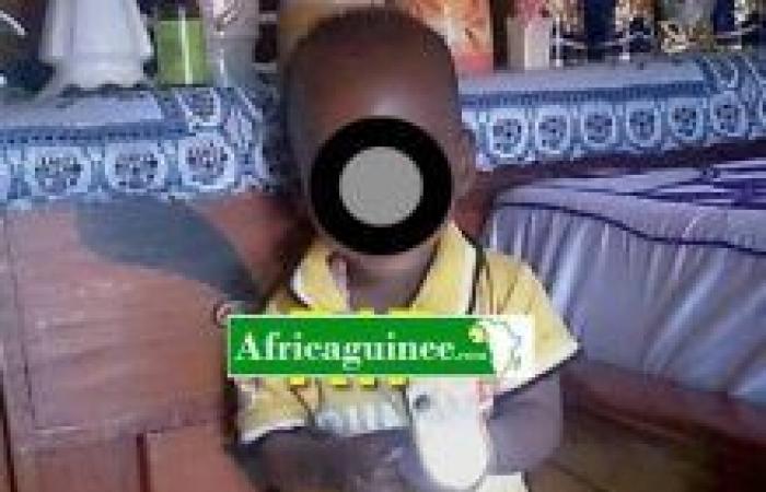 Si dissolve il mistero sull’omicidio del piccolo Thierno Ibrahima Bah – Guinea Africana