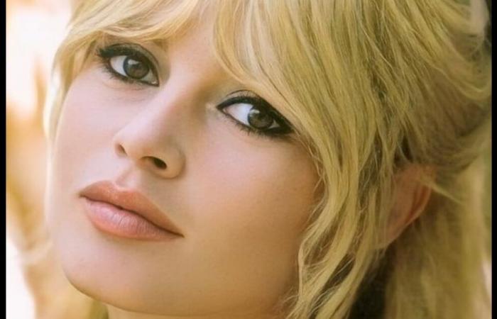 “Sarà impossibile!” Brigitte Bardot rivela il suo ultimo desiderio e sicuramente non sarà rispettato