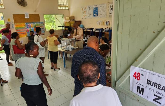 Elezioni legislative 2024: la partecipazione aumenta alle 12 in Guadalupa, Martinica, Guyana e Saint-Pierre-et-Miquelon