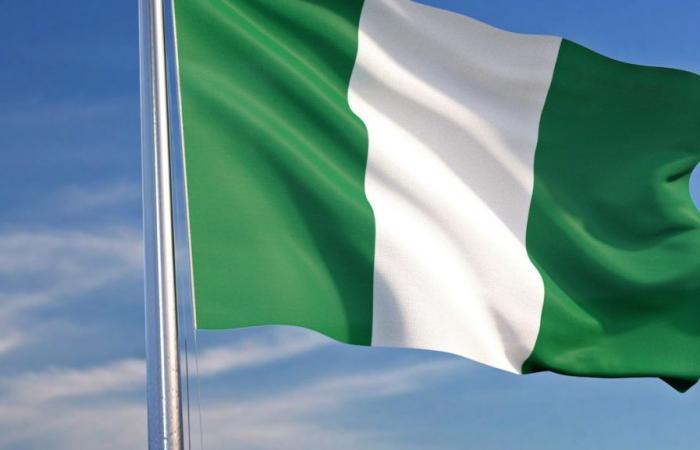 Nigeria: camionista “perde il controllo” e uccide 14 persone