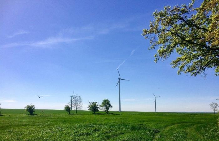 una tassa sull’uso dell’energia eolica per le società operative