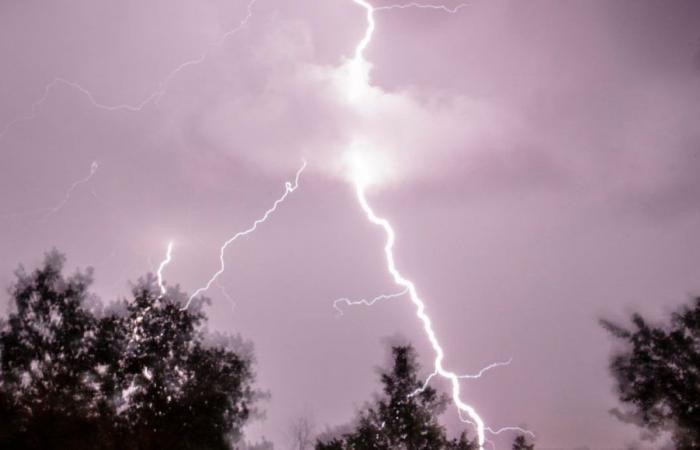 Si prevedono violenti temporali in Alsazia: TER cancellato, parchi chiusi