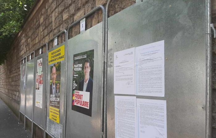 Elezioni legislative 2024 in Val-de-Marne: l’elenco completo dei candidati per collegio elettorale