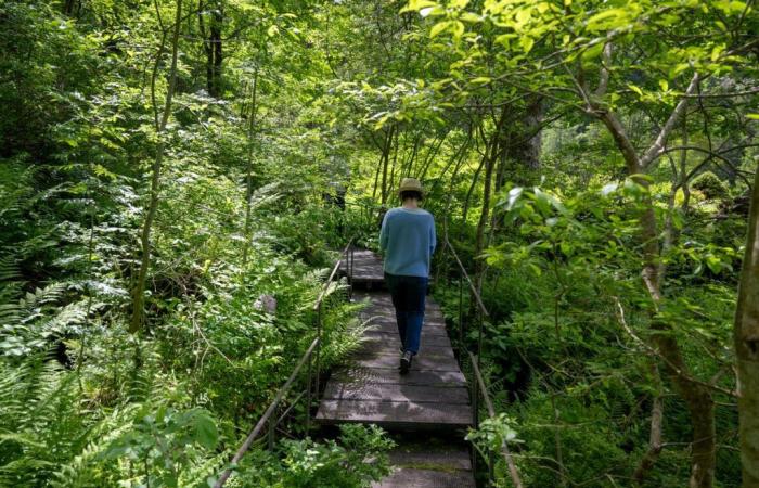 Serie estiva: con “Grandeur Nature” “24 Heures” esplora la natura selvaggia