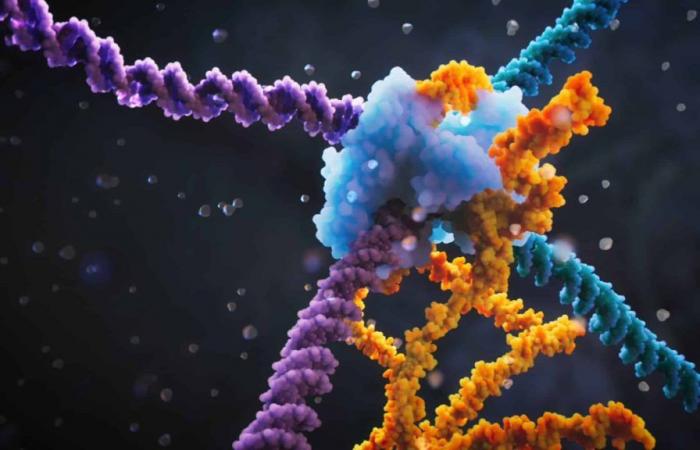 una nuova tecnica di editing genetico più efficiente e precisa di CRISPR