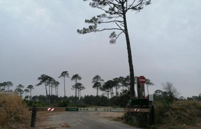 conflitto tra La Teste-de-Buch e l’Ufficio nazionale delle foreste per il parcheggio devastato di Salie Sud