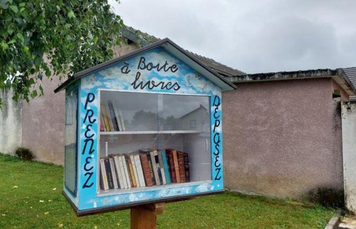 Diversi scatoloni di libri danneggiati in poche settimane a Momères, vicino a Tarbes