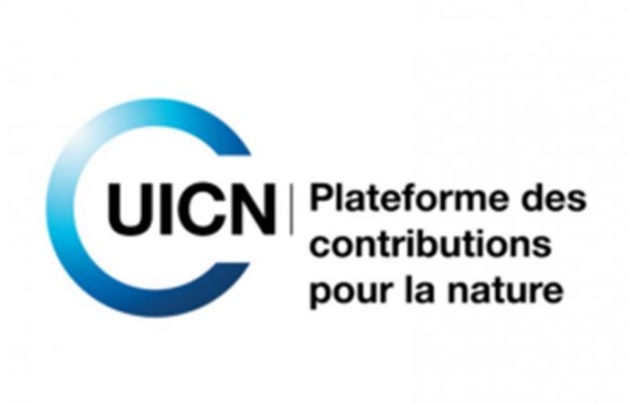 L’organizzazione internazionale IUCN sta reclutando per questa posizione (29 giugno 2024)