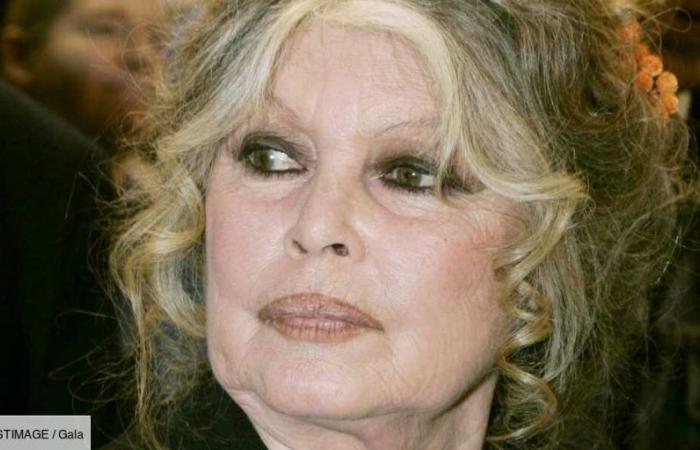 Brigitte Bardot, le sue rare confidenze sul figlio Nicolas: “Glielo avevo promesso…”