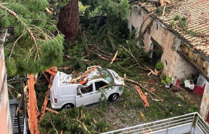 La tempesta provoca gravi danni a Deux-Sèvres • Niort info